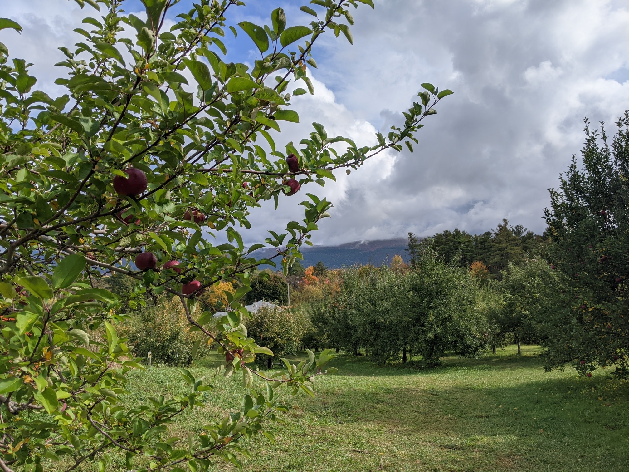 happy valley orchard