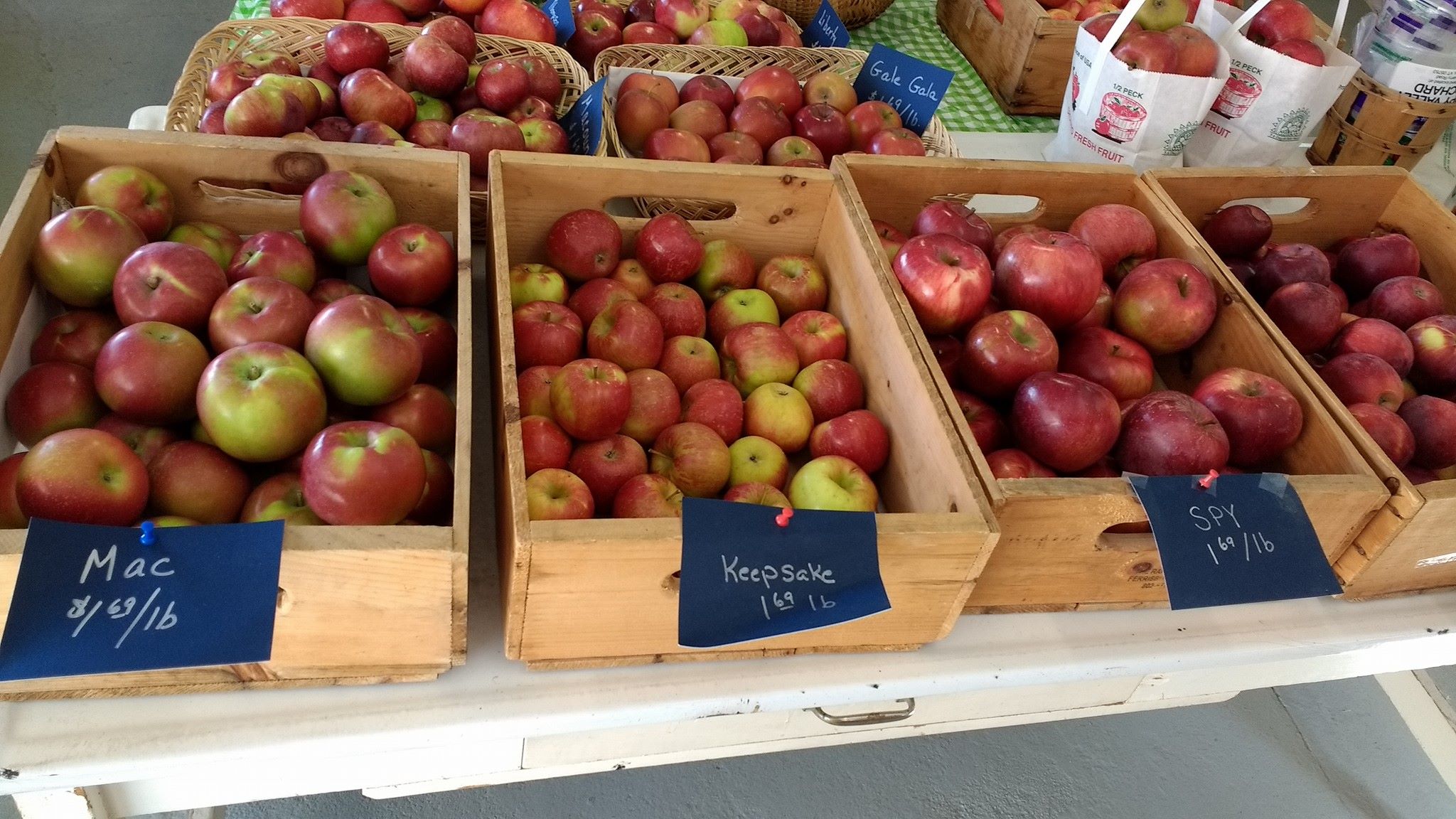 apples in bins for sale